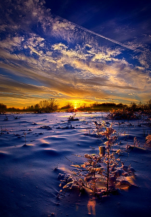 No Regrets Photograph by Phil Koch