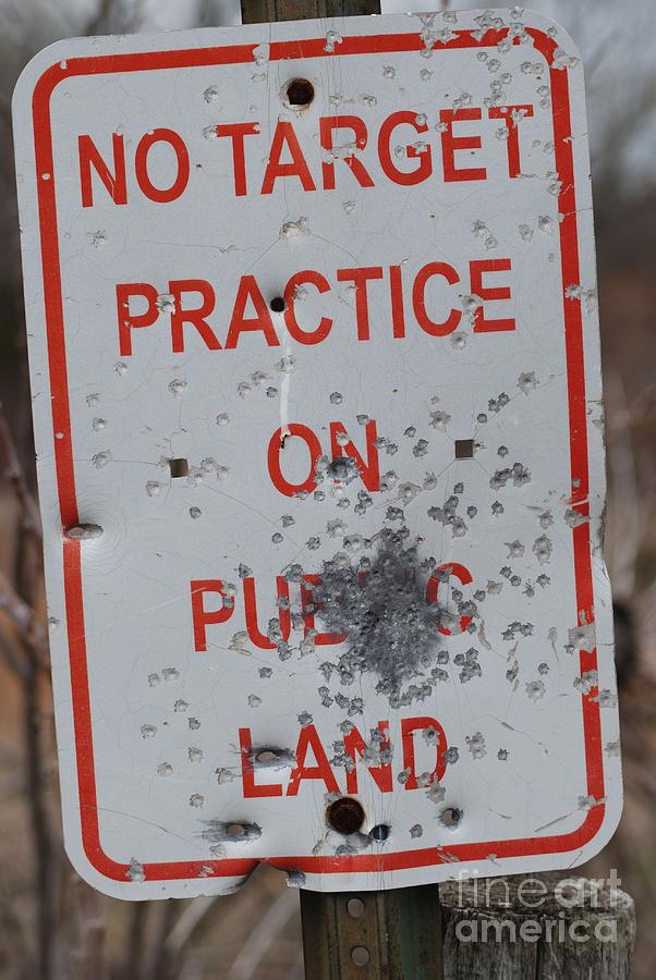 Sign Photograph - No Target Practice by Mark McReynolds