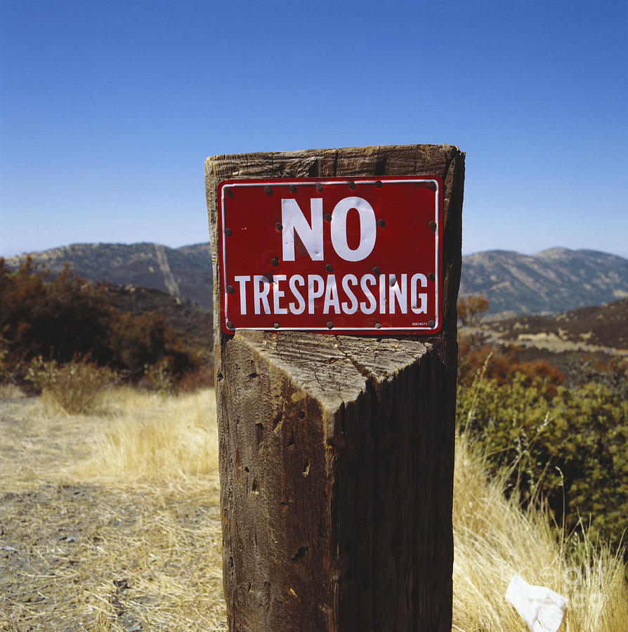 Yosemite National Park Photograph - No Trespassing by P Hammerschmidt and Okapia