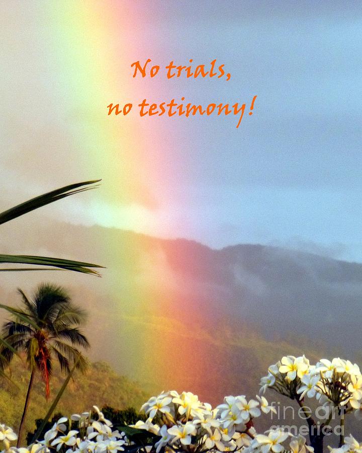 No trials No testimony Photograph by Barbie Corbett-Newmin