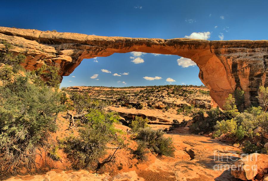 Us National Parks Photograph - No Water Under The Bridge by Adam Jewell