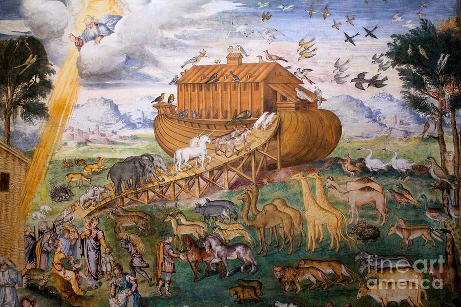Noahs Ark - Two by Two Photograph by David Grant
