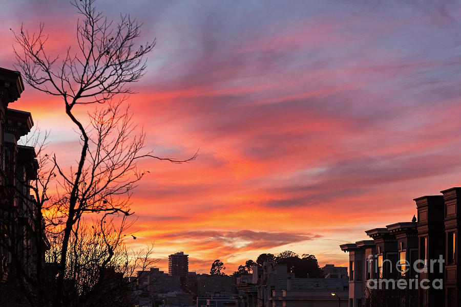 Nob Hill Sunset Photograph by Kate Brown