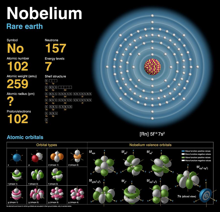 nobelium metal