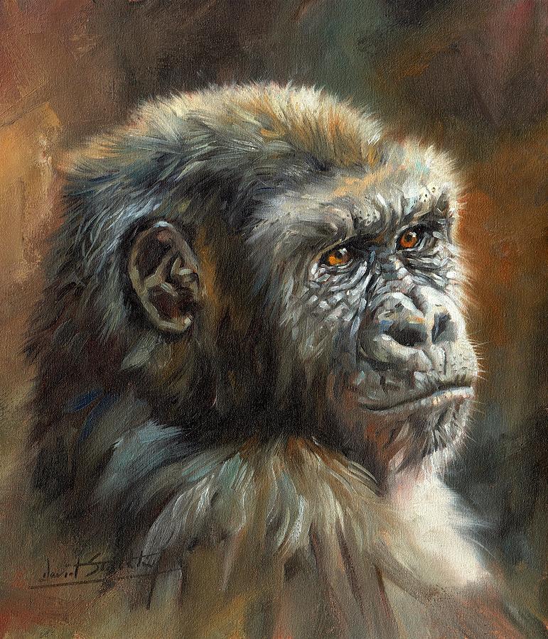 Wildlife Painting - Noble Ape by David Stribbling