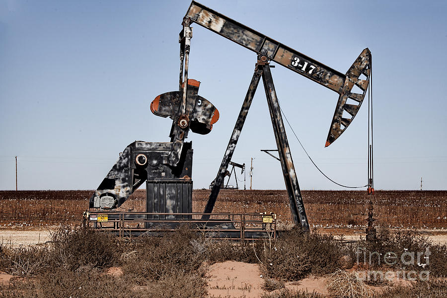 Nodding Donkey Oil Well Pump-Texas Photograph by Douglas Barnard
