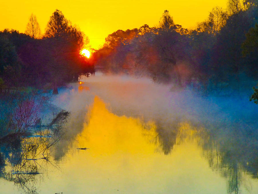 Louisiana Photograph - Noel sur le bayou Teche brouillard by Kimo Fernandez