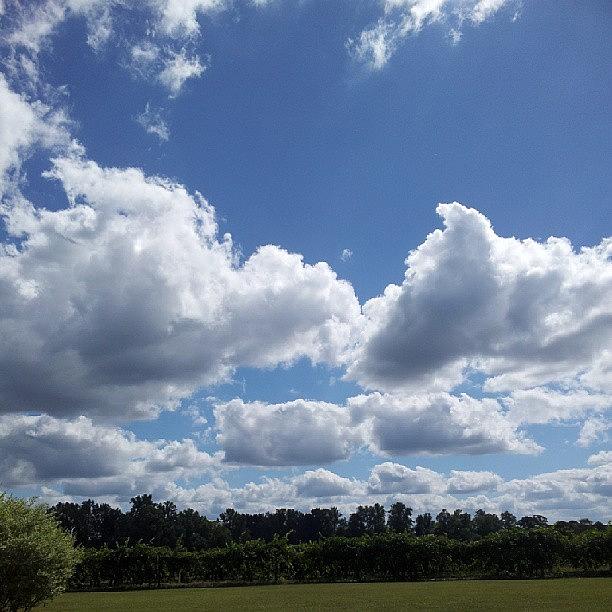 Landscape Photograph - #nofilter Day by Chris Morgan Landscape Photograph - #nofilter Day by Chris Morgan