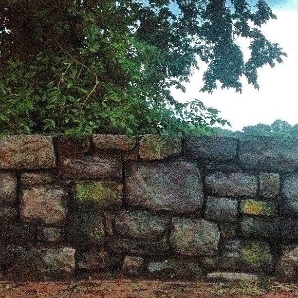 Summer Photograph - #nofilter #stone #stonewall #tree #dusk by Samantha Rash