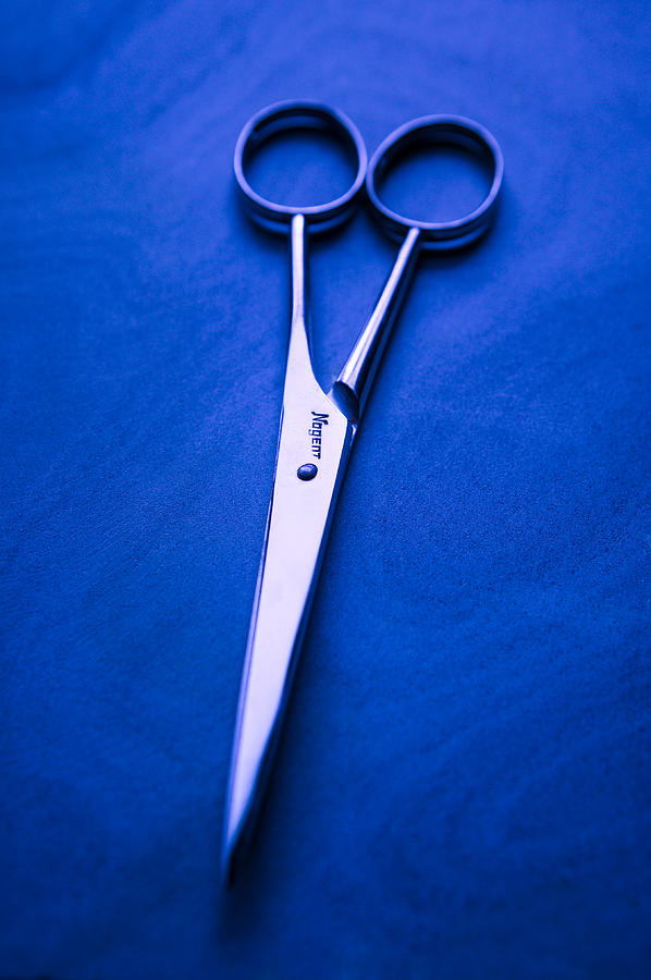 Tool Photograph - Nogent Scissors by Yo Pedro