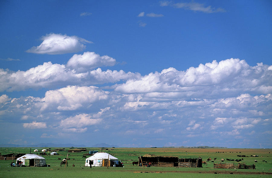 Landscape Photograph - Nomad Ger Camp In The Steppe by Marc Steinmetz