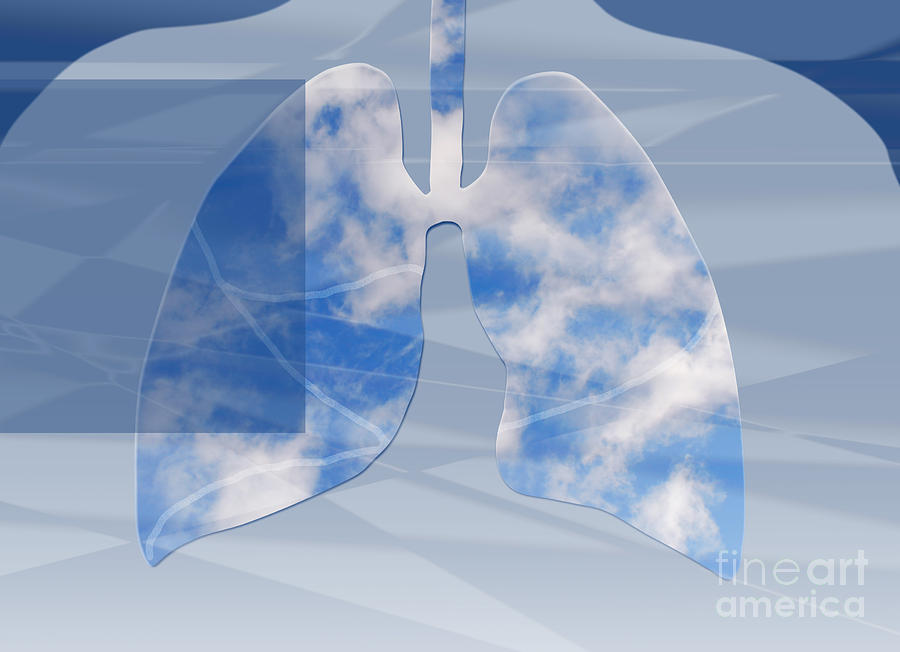 Environment Photograph - Non-Polluted Lungs by Monica Schroeder