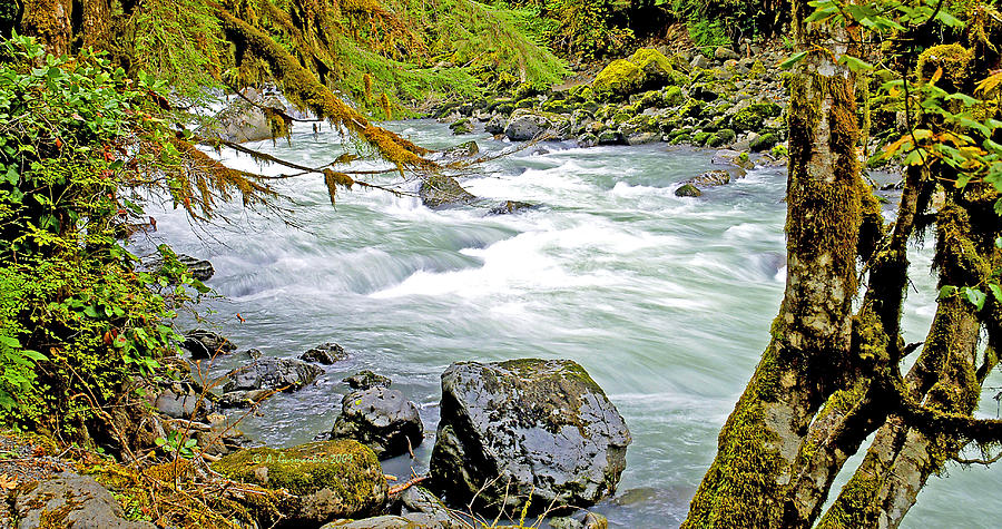 Nooksack River Rapids Washington State Photograph by A Macarthur Gurmankin