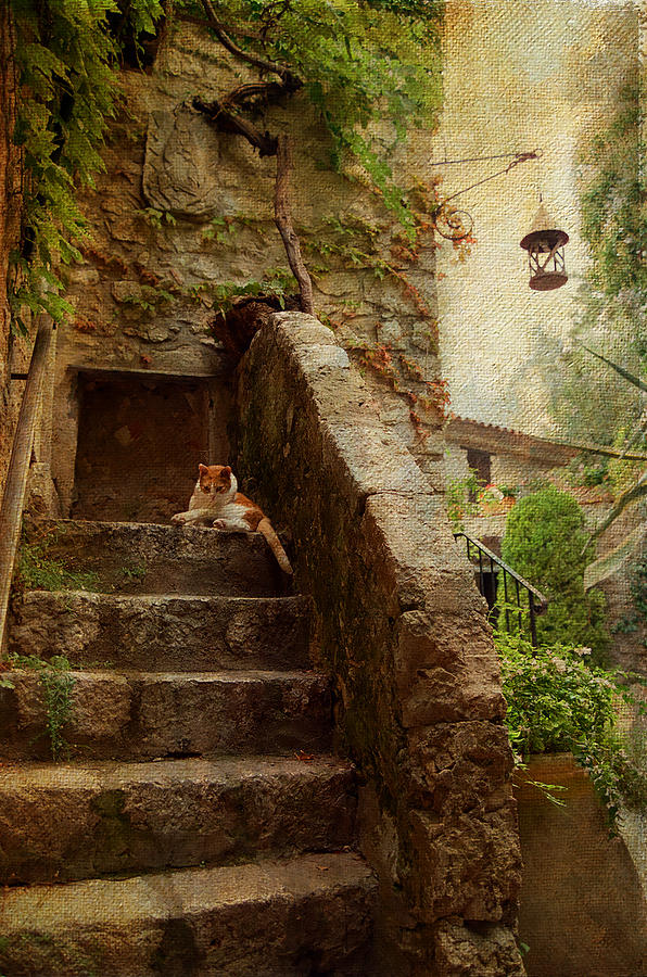 Noon Rest on the Stairs. Eze. France Photograph by Jenny Rainbow
