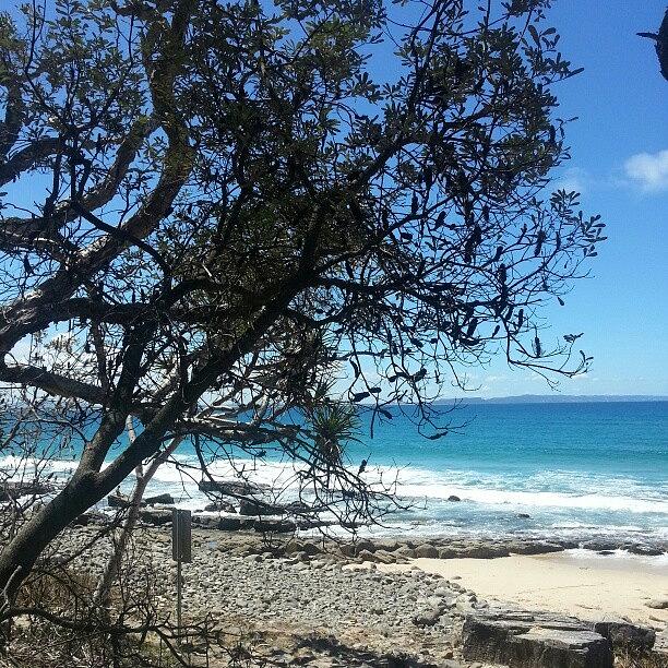Noosa. Thankyou For Being So Magical Photograph by Sarah Ditchfield