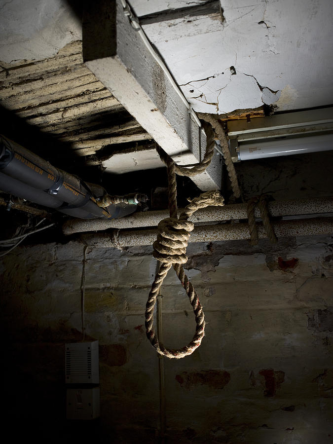 Noose Hanging From Beam By Henry Steadman