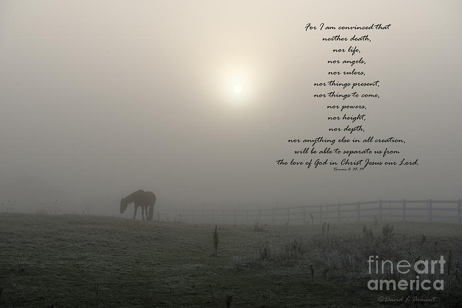 Horse Photograph - Nor by David Arment