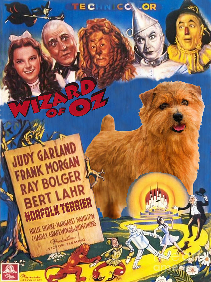 Norfolk Terrier Art Canvas Print - The Wizard of Oz Movie Poster Painting by Sandra Sij