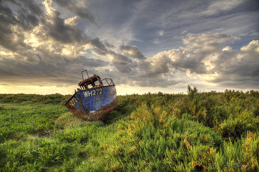 Norfolk wreck Photograph by Ian Merton
