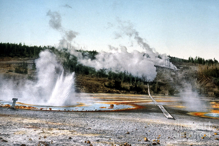 Norris Geyser Basin Yellowstone National Park Photograph by NPS Photo Detroit Photographic Co