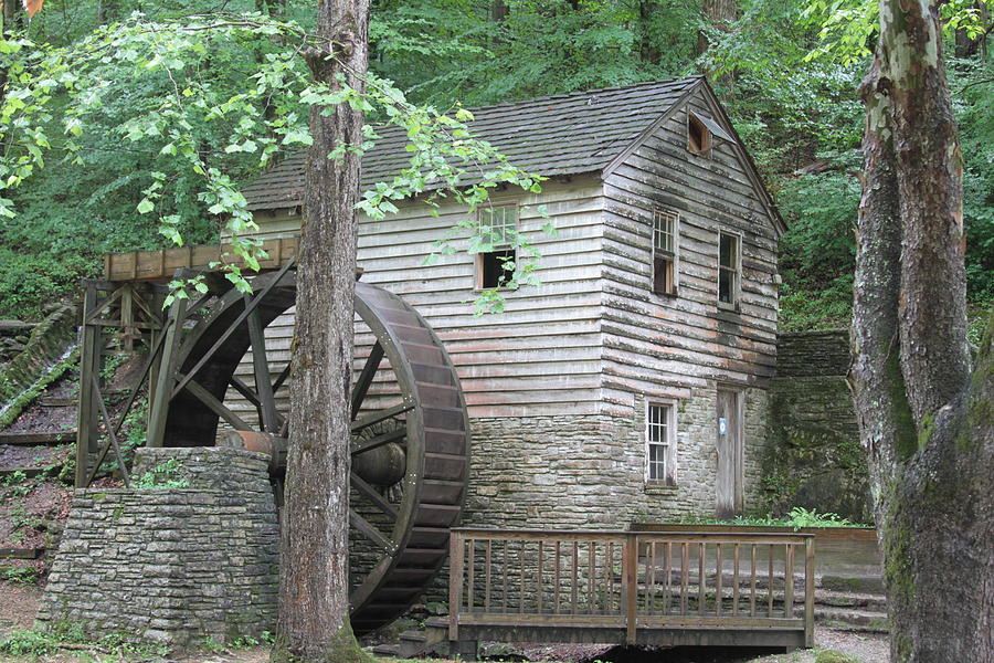 Water Mill Photograph - Norris Mill TN by Dwight Cook