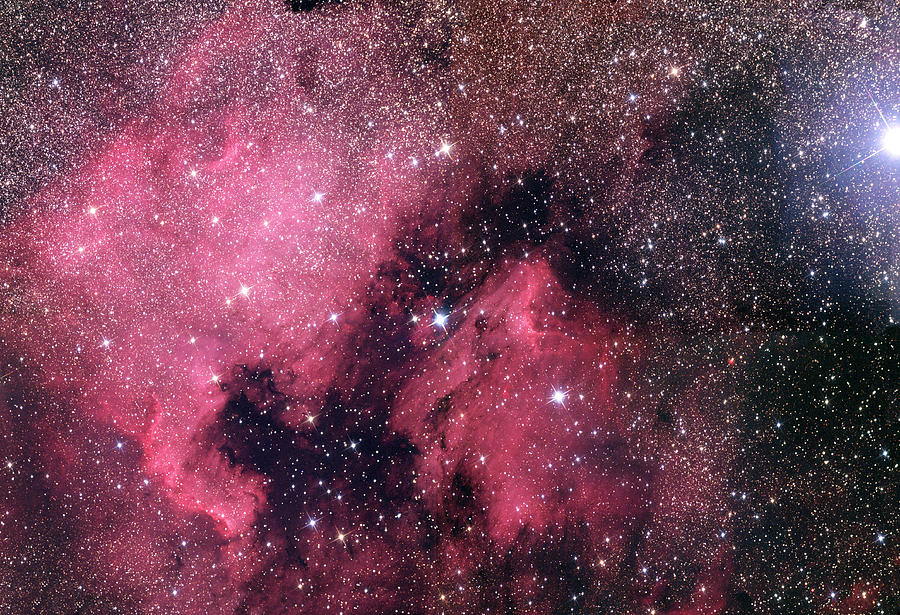 North America Nebula And Pelican Nebula Photograph by Adam Block/science Photo Library