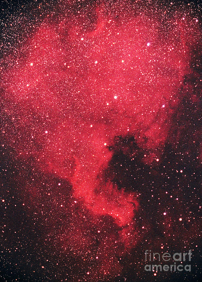 North America Nebula Photograph - North America Nebula by Chris Cook