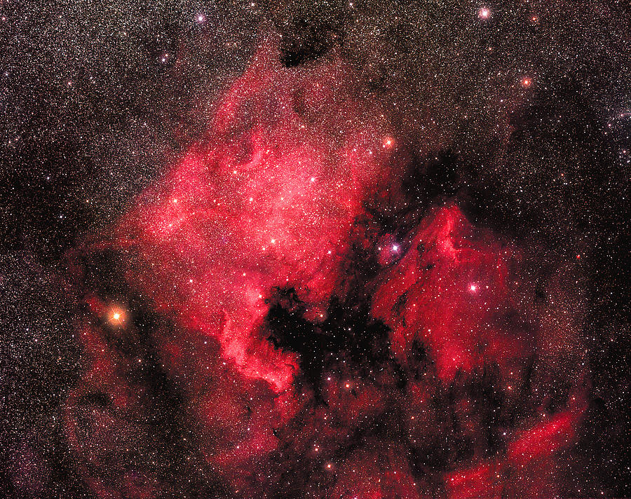 North America Nebula Photograph by Jason T. Ware