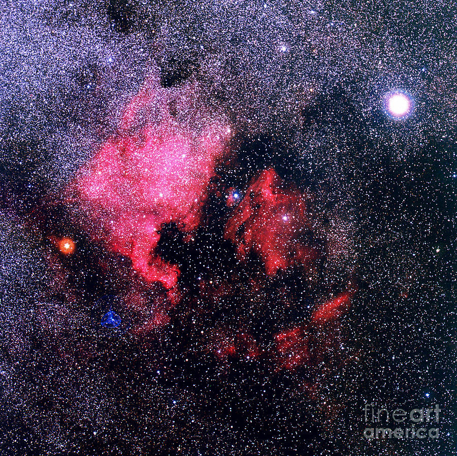 North America Nebula Photograph by Shigemi Numazawa / Atlas Photo Bank