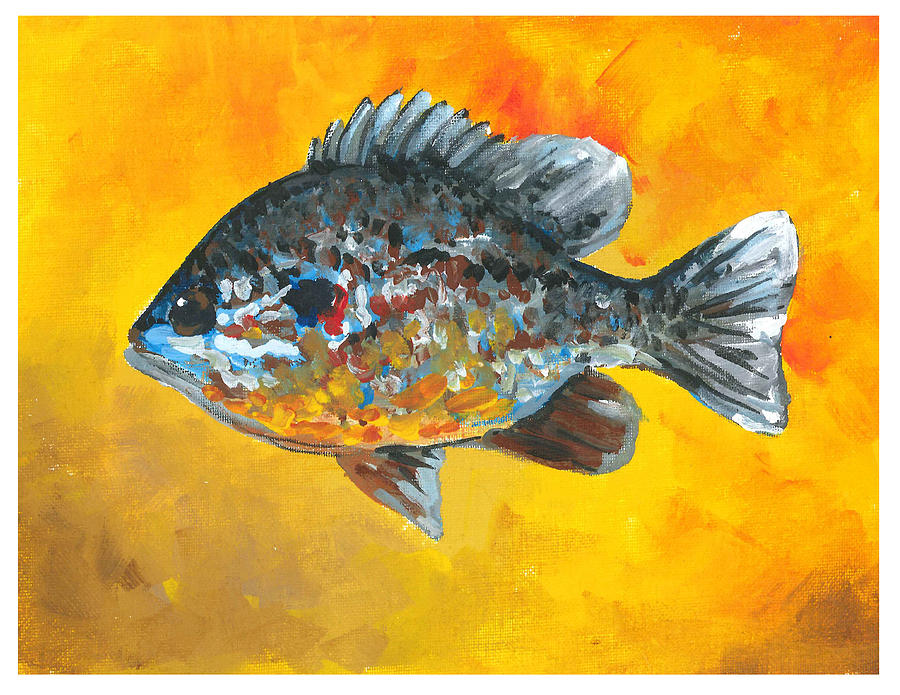 North America SunFish by Robin Pelton