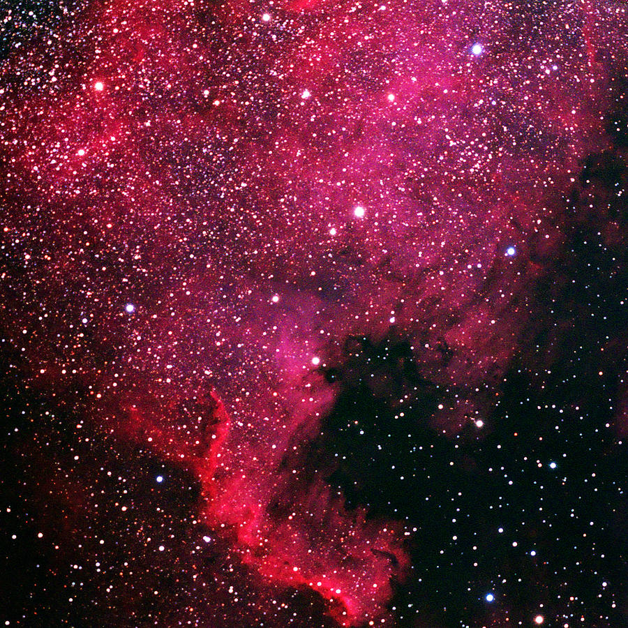 North American Nebula Photograph by Alan Vance Ley