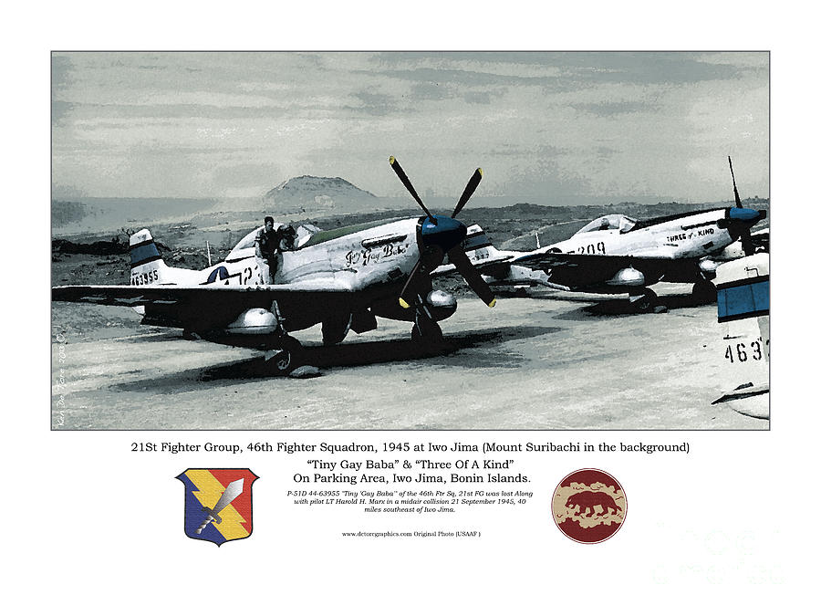 46th Fighter Squadron Photograph - North American P-51D Mustang by Kenneth De Tore
