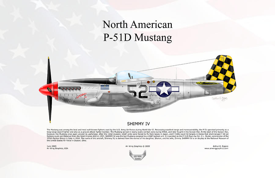 North American P-51D Mustang Shimmy IV FLAG BACKGROUND Digital Art by Arthur Eggers