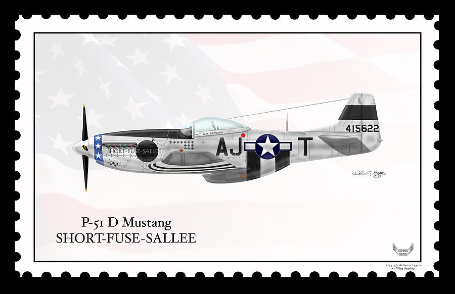North American P-51D Mustang Short Fuse Sallee Digital Art by Arthur Eggers