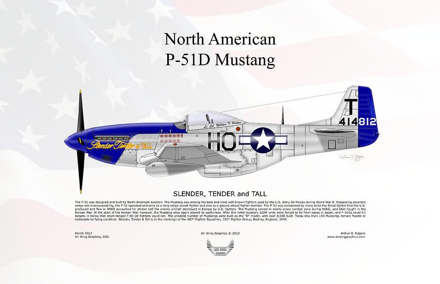 North American P-51D Mustang Slender Tender Tall FLAG BACKGROUND Digital Art by Arthur Eggers