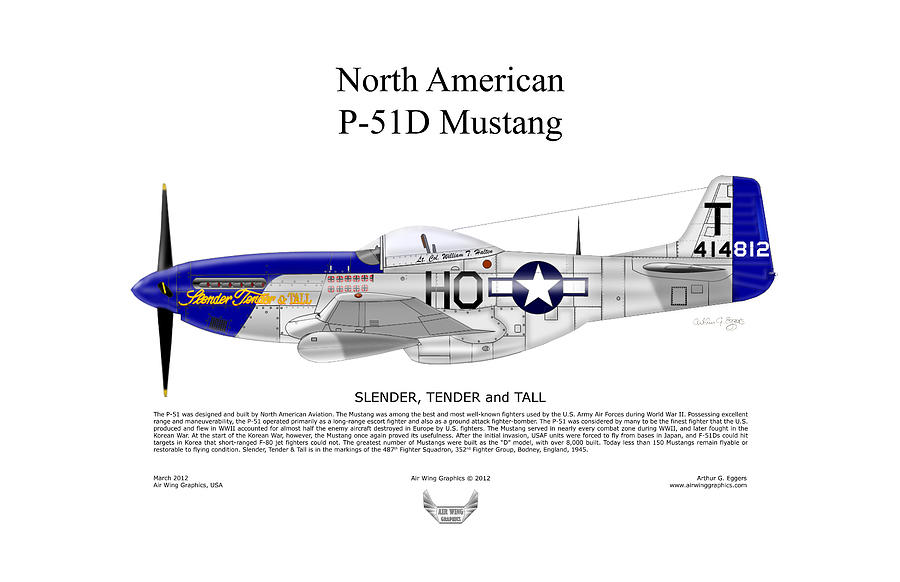 North American P-51D Mustang Slender TenderTall Digital Art by Arthur Eggers