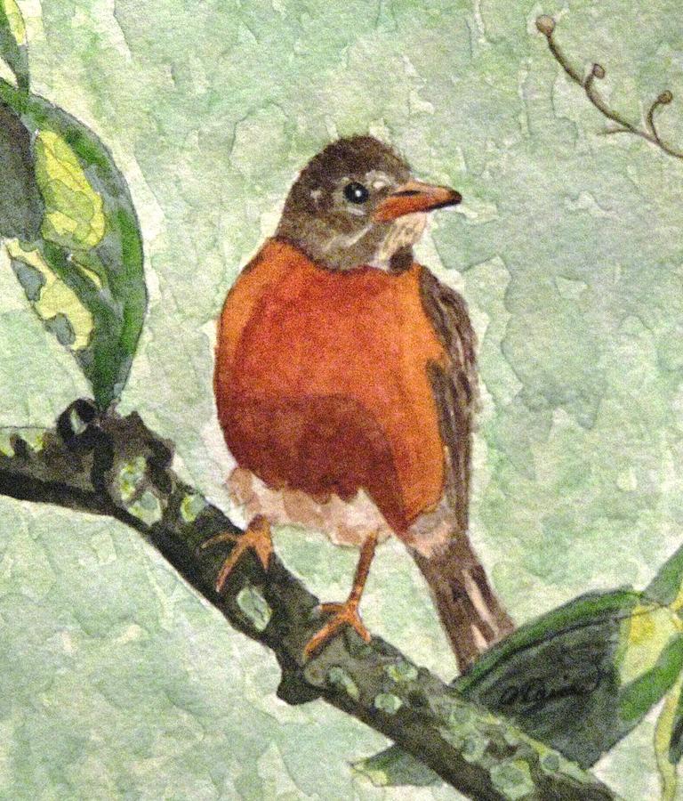North American Robin Painting by Angela Davies