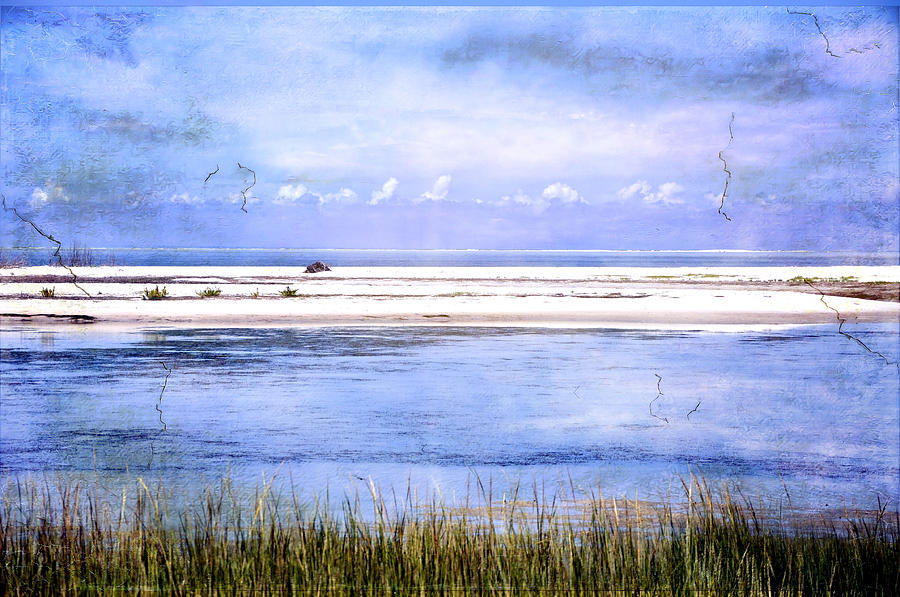 Florida Photograph - North Beach by Eagle Finegan Florida Photograph - North Beach by Eagle Finegan