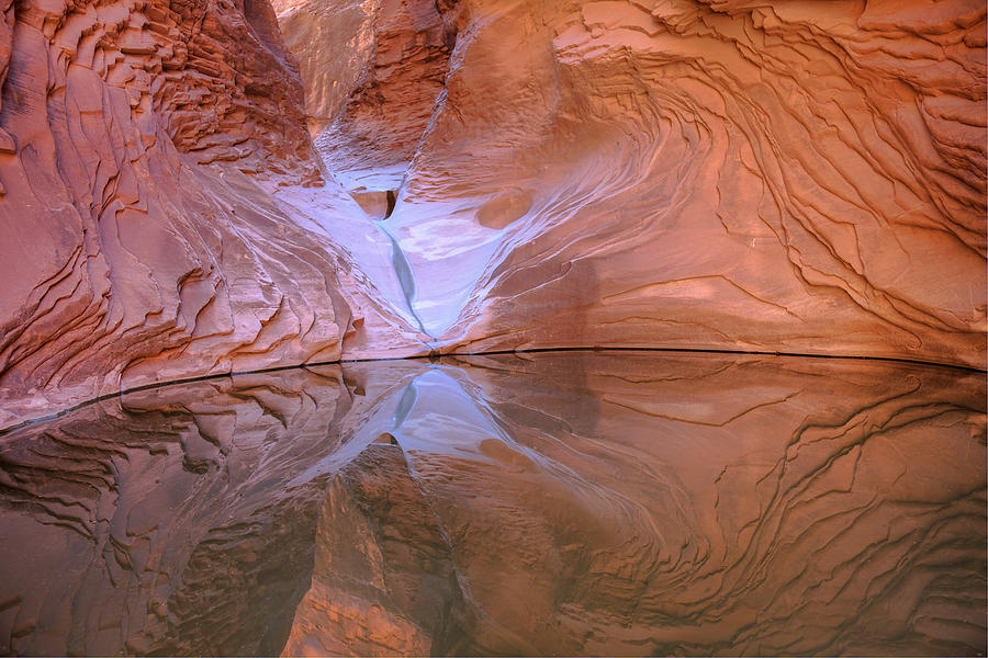Grand Canyon National Park Photograph - North Canyon Grotto by Mike Buchheit