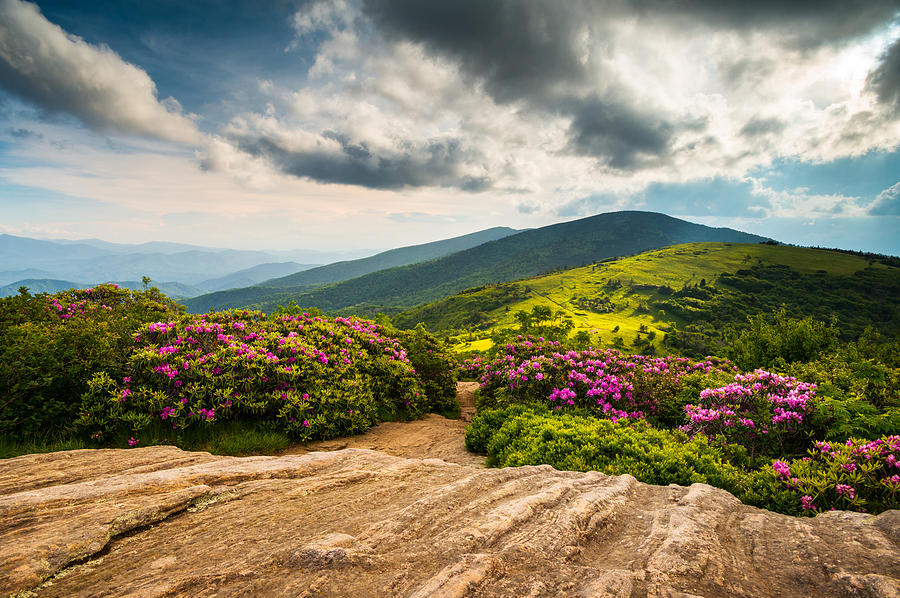 North Carolina Blue Ridge Mountains Landscape Appalachian Trail Photograph