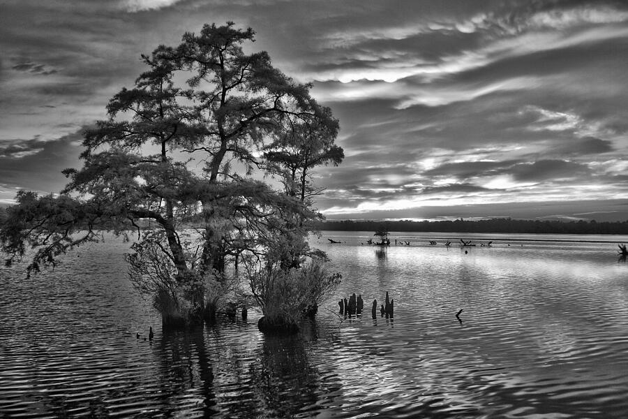 North Carolina Coast Elizabeth City Cypress Sunrise Photograph by Dan