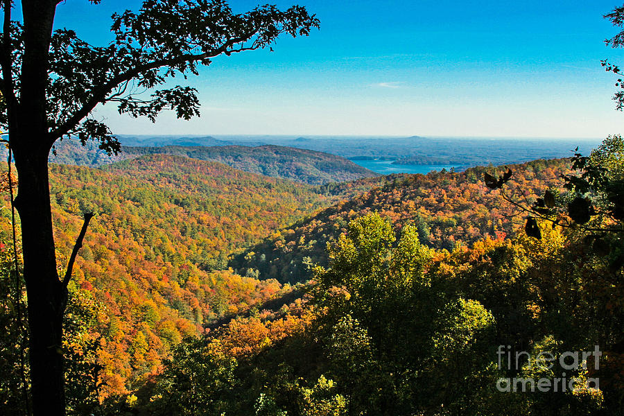 North Carolina Fall Foliage Photograph by Ronald Lutz