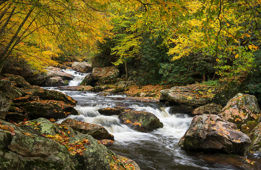 Fall Photograph - North Carolina Highlands NC Autumn River Gorge by Dave Allen