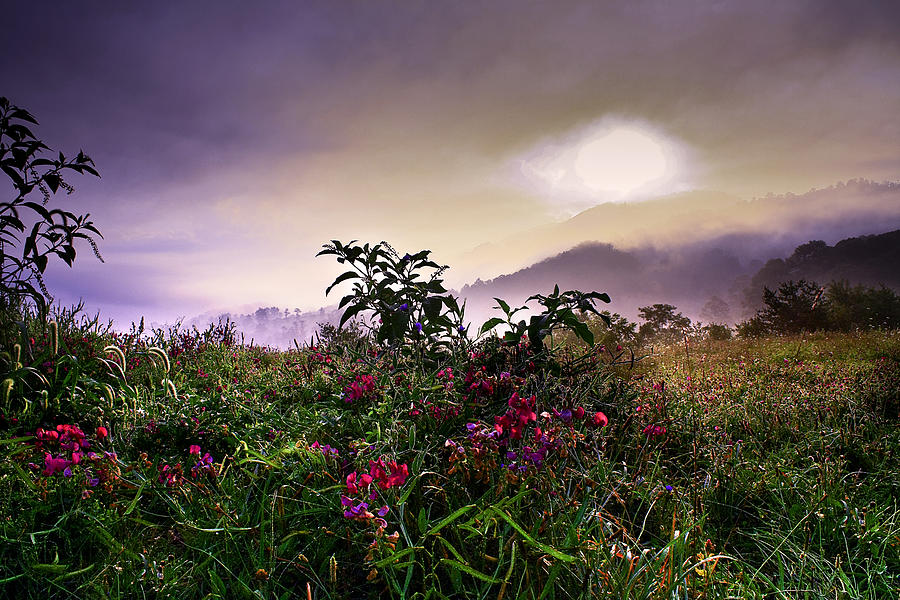 Landscape Photograph - North Carolina Mountain Morning  by Gray  Artus