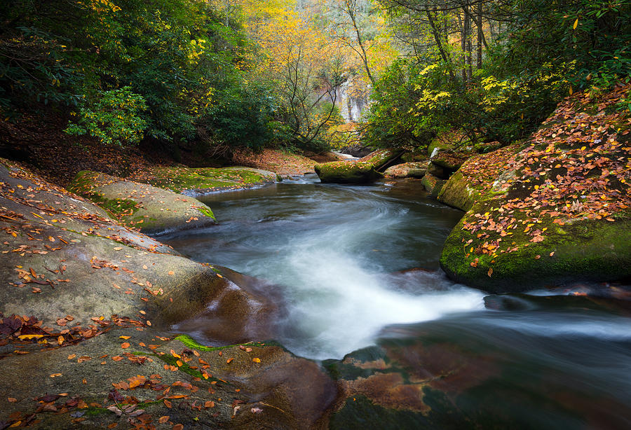 North Carolina Mountain River in Autumn Fall Foliage Photograph by Dave Allen