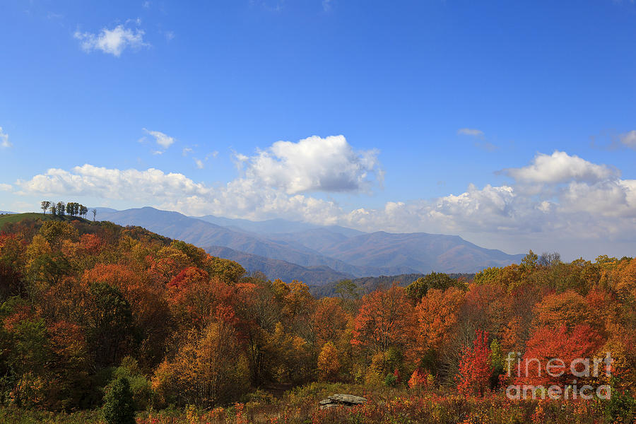 North Carolina Mountains in the Fall Photograph by Jill Lang