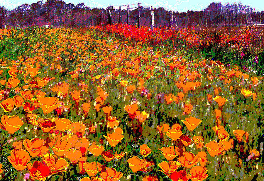 North Carolina Orange Poppies Original Art Painting by G Linsenmayer