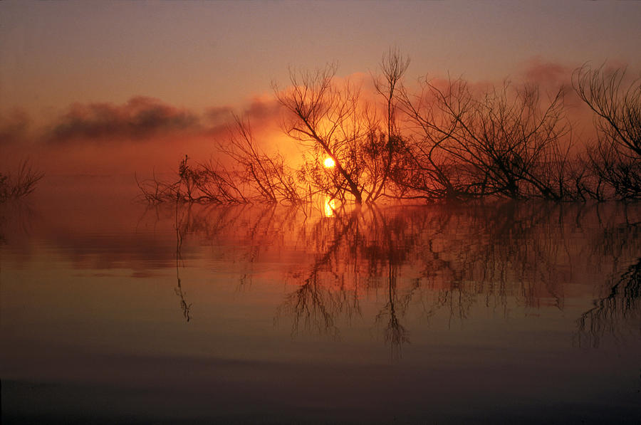 North Carolina Sunrise Photograph by Frederica Georgia
