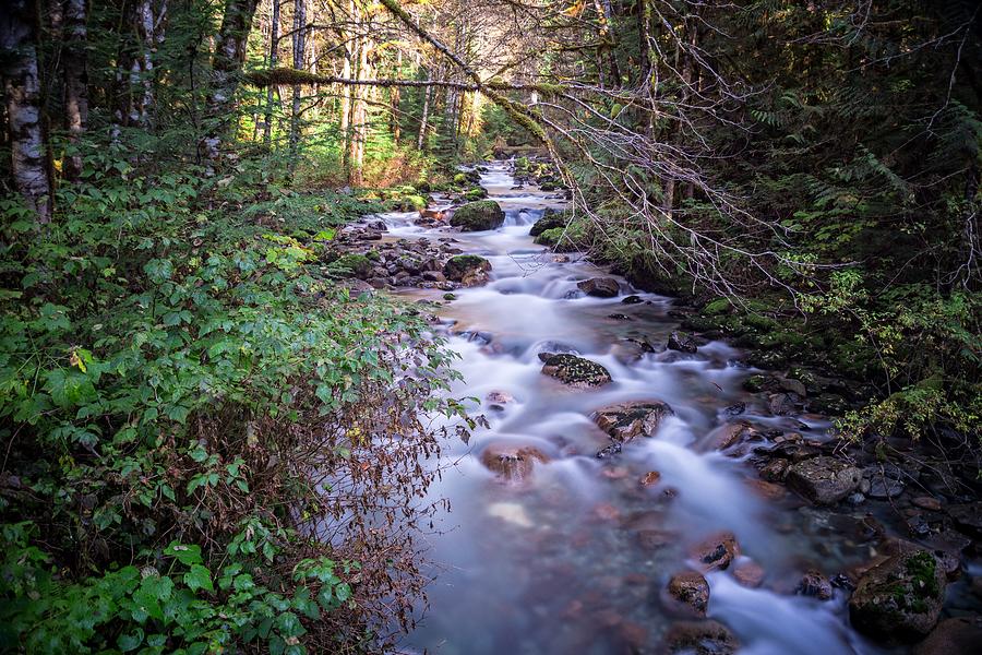 North Cascade River Photograph by Spencer McDonald