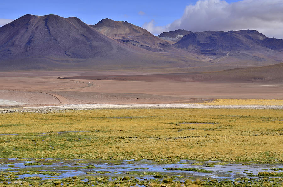 North Chile Photograph by Guilherme Santos - Fine Art America